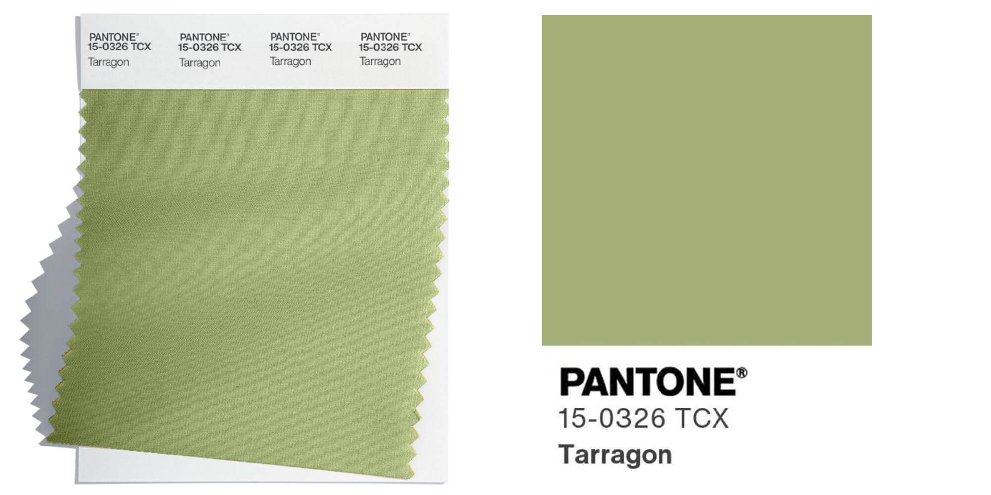 Tarragon
