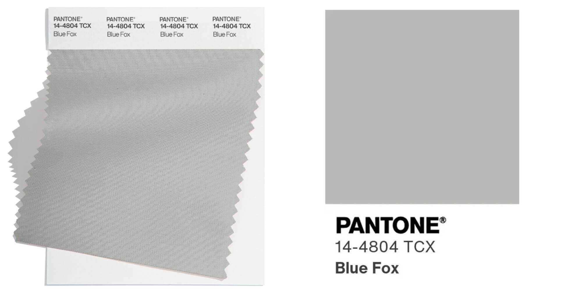 Blue Fox