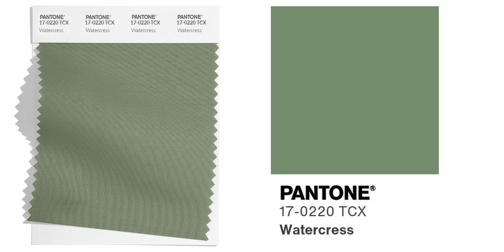 Watercress
