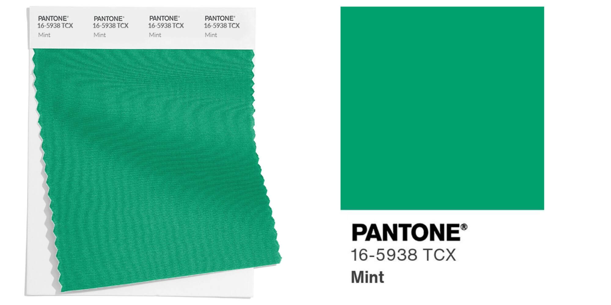 Mint