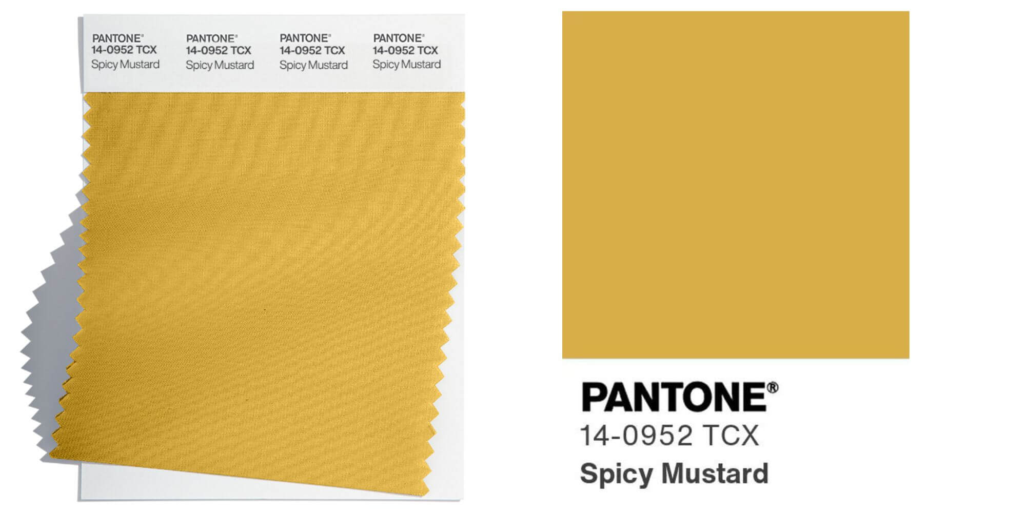 Spicy Mustard