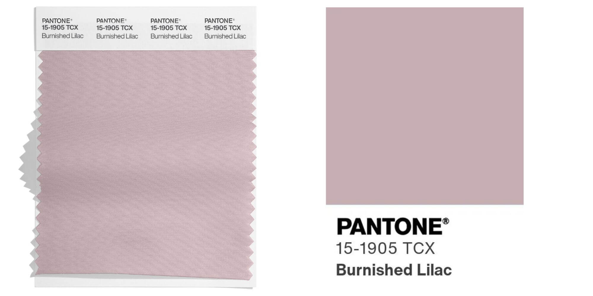 Burnished Lilac
