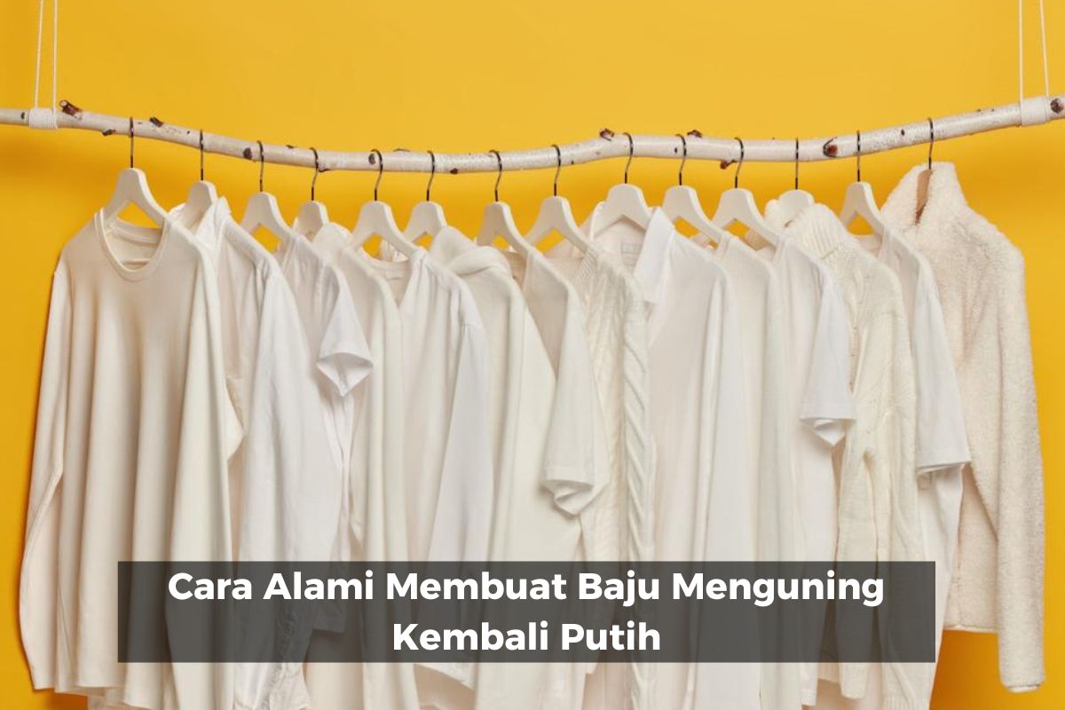 Cara Alami Membuat Baju Menguning Kembali Putih