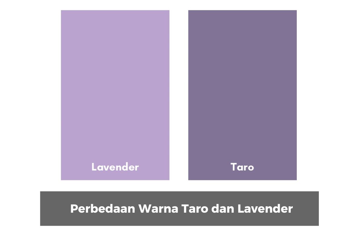 Perbedaan Warna Taro dan Lavender